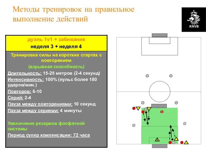 Методы тренировок на правильное выполнение действий