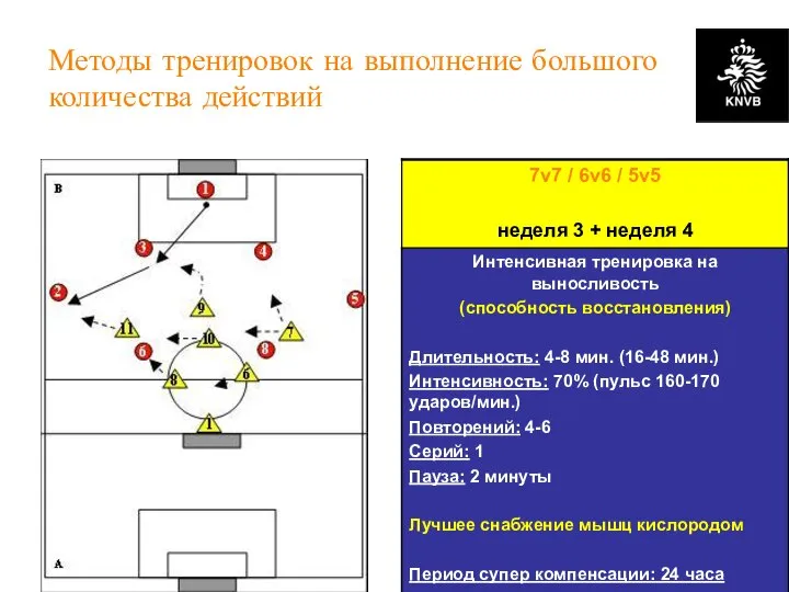 KNVB Academy // NSCAA // January 2008 // www.academie.knvb.nl Методы тренировок на выполнение большого количества действий