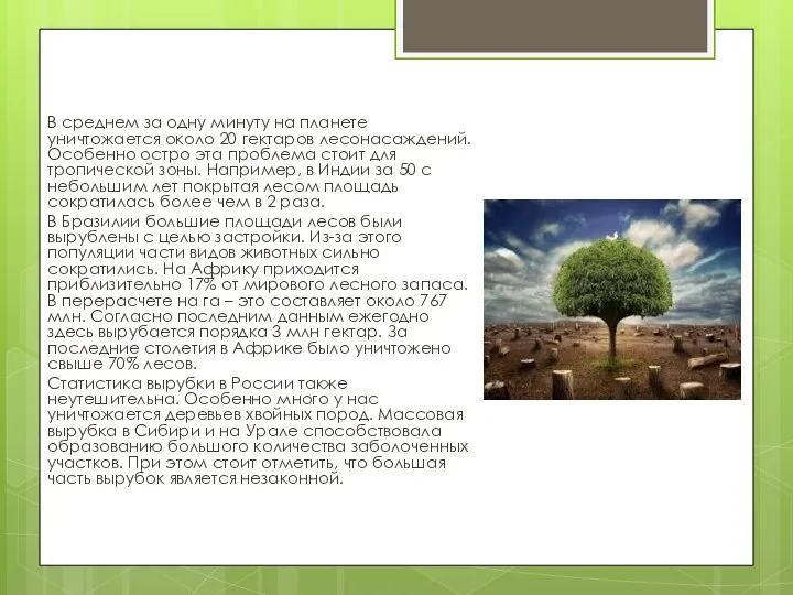 В среднем за одну минуту на планете уничтожается около 20 гектаров