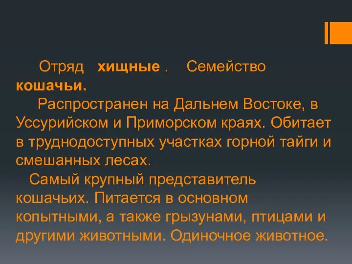 Отряд хищные . Семейство кошачьи. Распространен на Дальнем Востоке, в Уссурийском