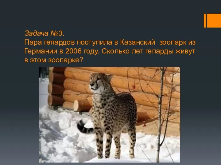 Задача №3. Пара гепардов поступила в Казанский зоопарк из Германии в