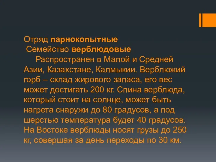 Отряд парнокопытные Семейство верблюдовые Распространен в Малой и Средней Азии, Казахстане,