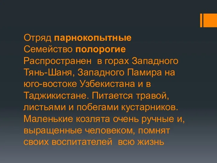 Отряд парнокопытные Семейство полорогие Распространен в горах Западного Тянь-Шаня, Западного Памира