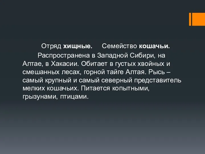 Отряд хищные. Семейство кошачьи. Распространена в Западной Сибири, на Алтае, в