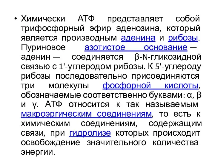 Химически АТФ представляет собой трифосфорный эфир аденозина, который является производным аденина