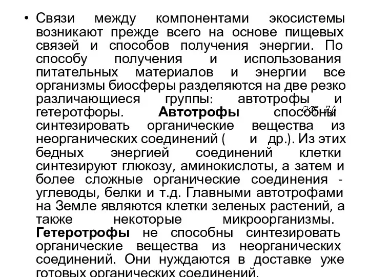 Связи между компонентами экосистемы возникают прежде всего на основе пищевых связей