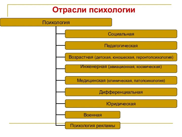 Отрасли психологии