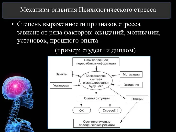 Механизм развития Психологического стресса Степень выраженности признаков стресса зависит от ряда