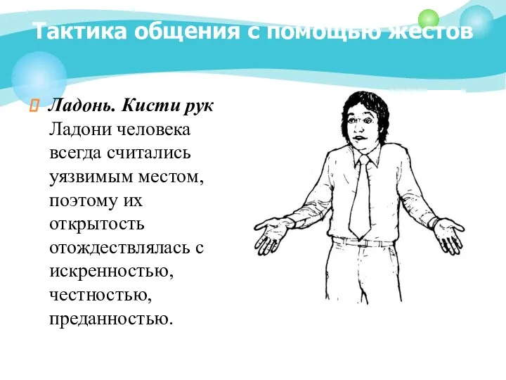 Тактика общения с помощью жестов Ладонь. Кисти рук Ладони человека всегда