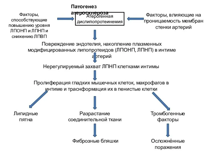 Патогенез атеросклероза Атерогенная дислипопротеинемия Факторы, способствующие повышению уровня ЛПОНП и ЛПНП