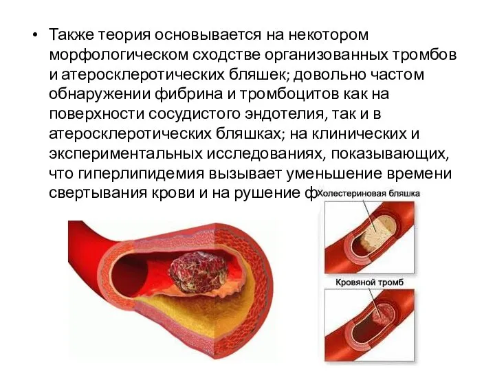 Также теория основывается на некотором морфологическом сходстве организованных тромбов и атеросклеротических