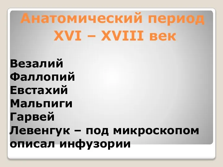 Анатомический период XVI – XVIII век Везалий Фаллопий Евстахий Мальпиги Гарвей