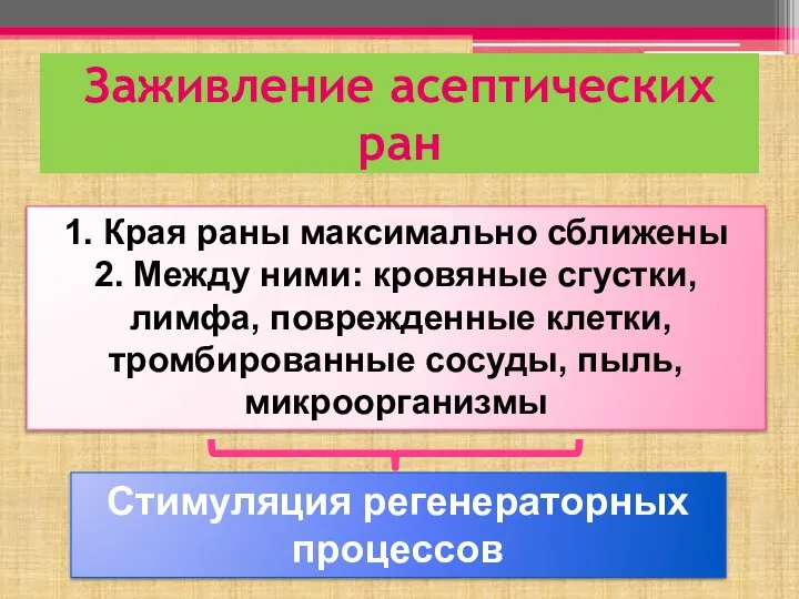 Заживление асептических ран 1. Края раны максимально сближены 2. Между ними: