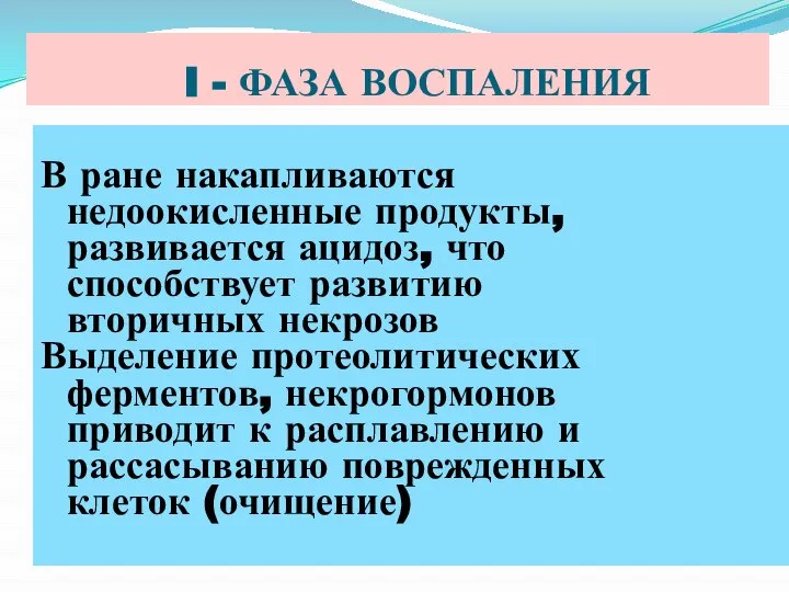 I - ФАЗА ВОСПАЛЕНИЯ В ране накапливаются недоокисленные продукты, развивается ацидоз,