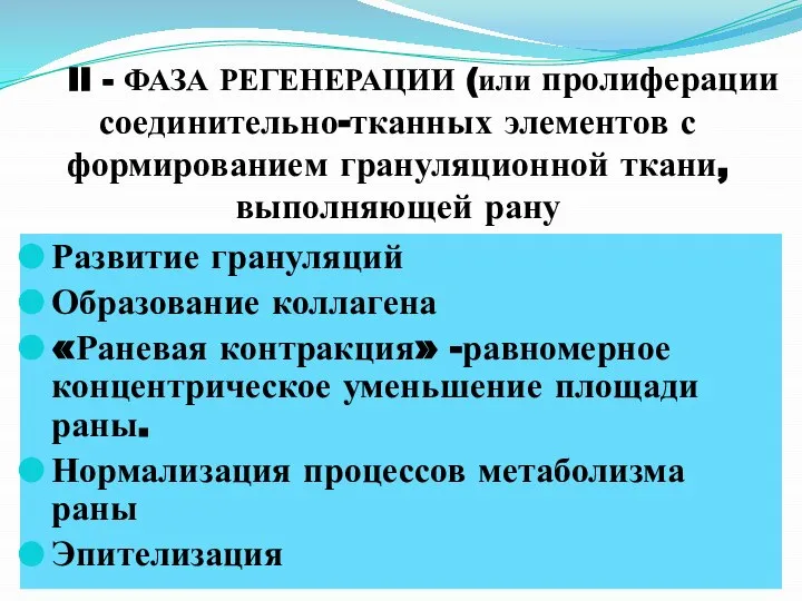 II - ФАЗА РЕГЕНЕРАЦИИ (или пролиферации соединительно-тканных элементов с формированием грануляционной