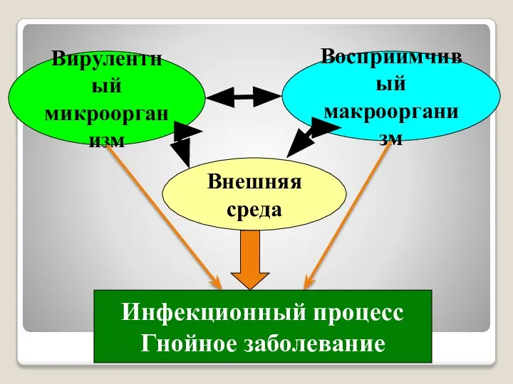 Вирулентный микроорганизм Внешняя среда Восприимчивый макроорганизм Инфекционный процесс Гнойное заболевание