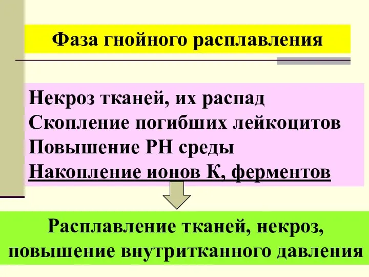 Фаза гнойного расплавления Некроз тканей, их распад Скопление погибших лейкоцитов Повышение