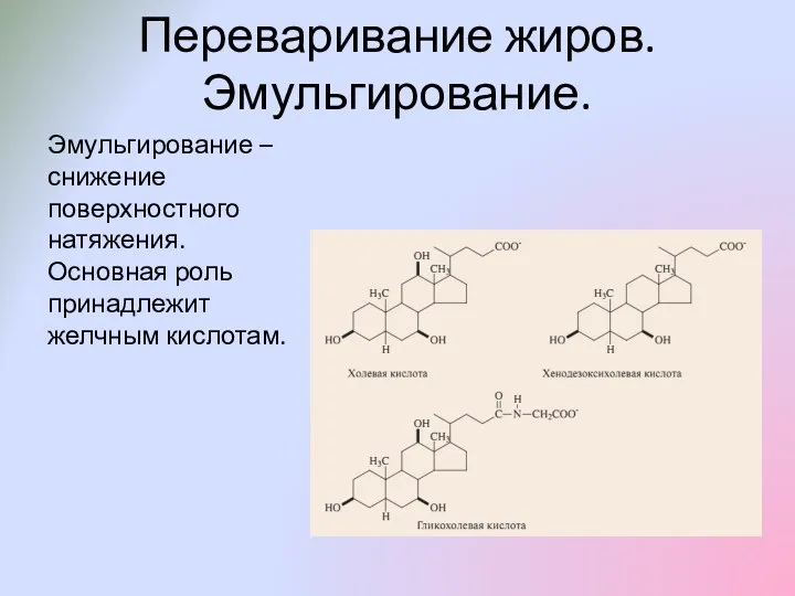 Переваривание жиров. Эмульгирование. Эмульгирование – снижение поверхностного натяжения. Основная роль принадлежит желчным кислотам.