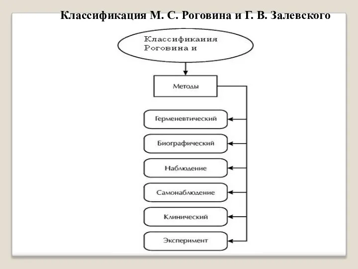 Классификация М. С. Роговина и Г. В. Залевского