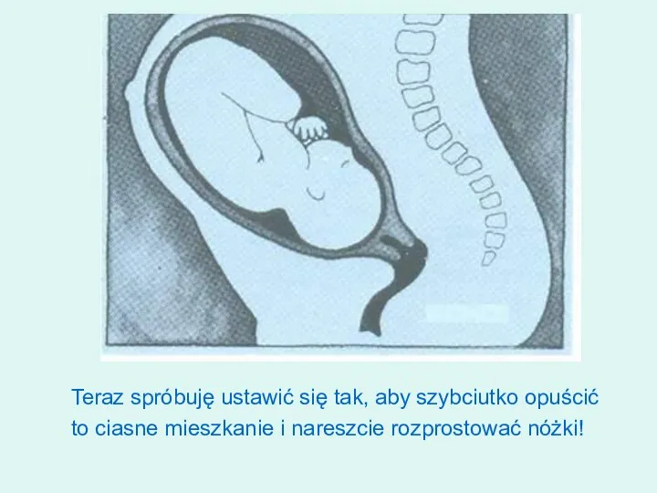 Teraz spróbuję ustawić się tak, aby szybciutko opuścić to ciasne mieszkanie i nareszcie rozprostować nóżki!