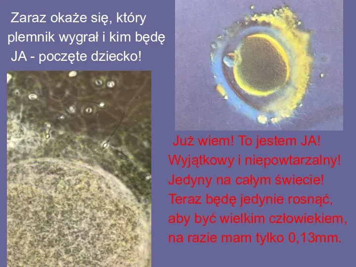 Zaraz okaże się, który plemnik wygrał i kim będę JA -