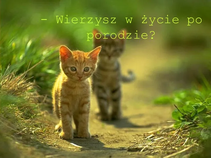 - Wierzysz w życie po porodzie?