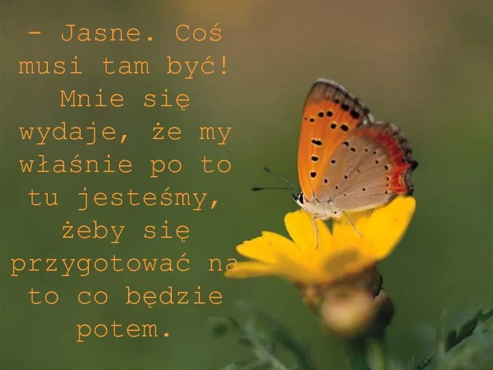 - Jasne. Coś musi tam być! Mnie się wydaje, że my