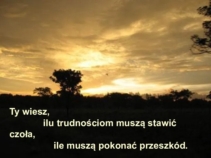 Ty wiesz, ilu trudnościom muszą stawić czoła, ile muszą pokonać przeszkód.