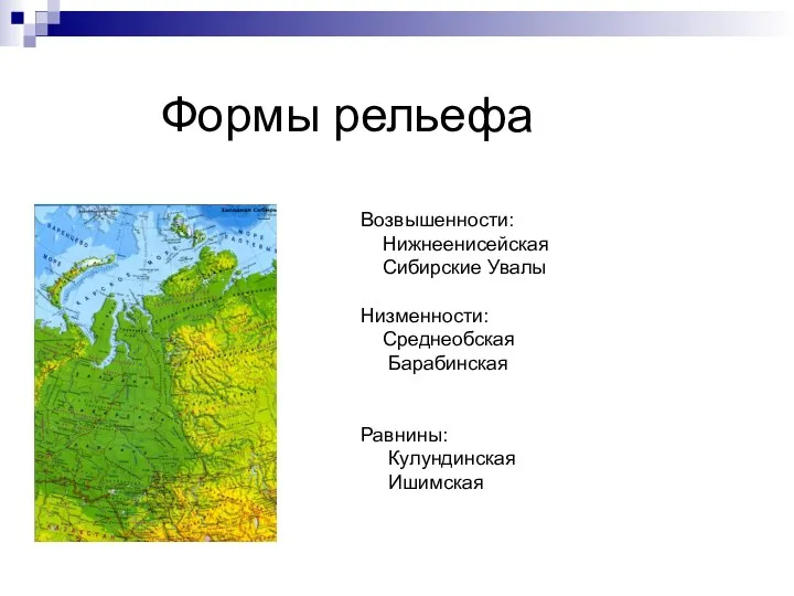 Формы рельефа Возвышенности: Нижнеенисейская Сибирские Увалы Низменности: Среднеобская Барабинская Равнины: Кулундинская Ишимская