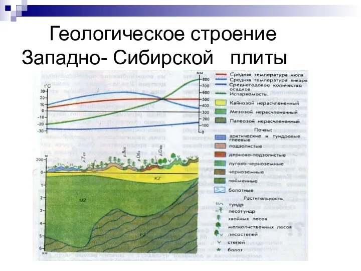 Геологическое строение Западно- Сибирской плиты