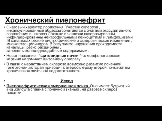 Хронический пиелонефрит Очаговый характер поражения .Участки склероза ,инкапсулированные абцессы сочетаются с