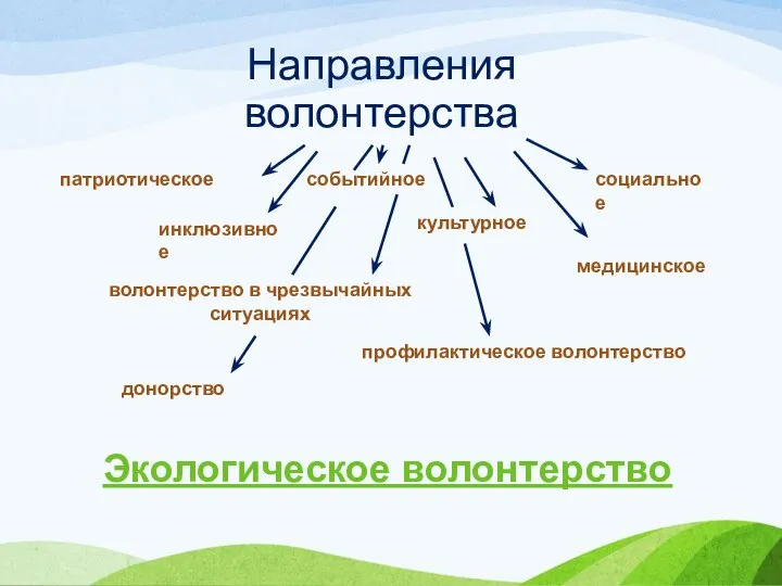 Направления волонтерства патриотическое событийное социальное медицинское инклюзивное культурное волонтерство в чрезвычайных