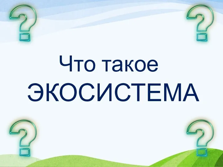 Что такое ЭКОСИСТЕМА