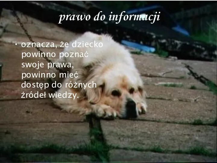 prawo do informacji oznacza, że dziecko powinno poznać swoje prawa, powinno