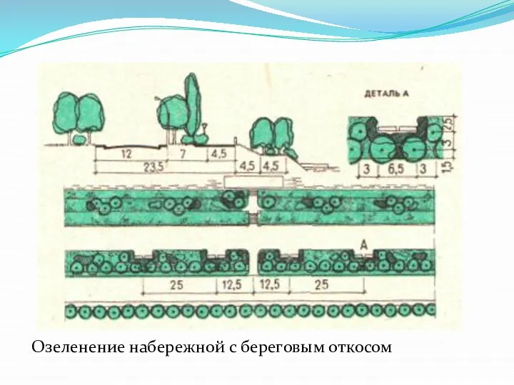 Озеленение набережной с береговым откосом