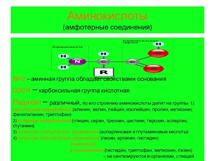 Аминокислоты (амфотерные соединения) NH2 – аминная группа обладает свойствами основания COOH