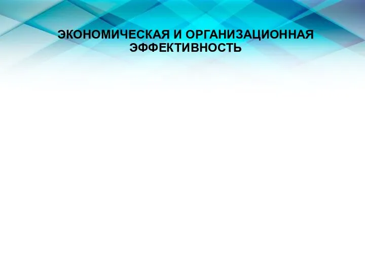 ЭКОНОМИЧЕСКАЯ И ОРГАНИЗАЦИОННАЯ ЭФФЕКТИВНОСТЬ