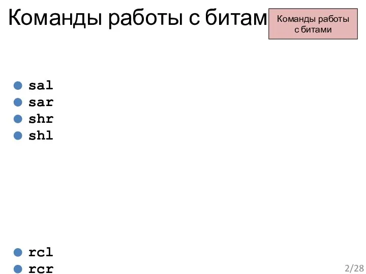 Команды работы с битами sal sar shr shl rcl rcr rol