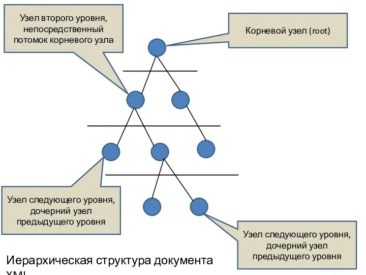 Корневой узел (root) Узел второго уровня, непосредственный потомок корневого узла Узел