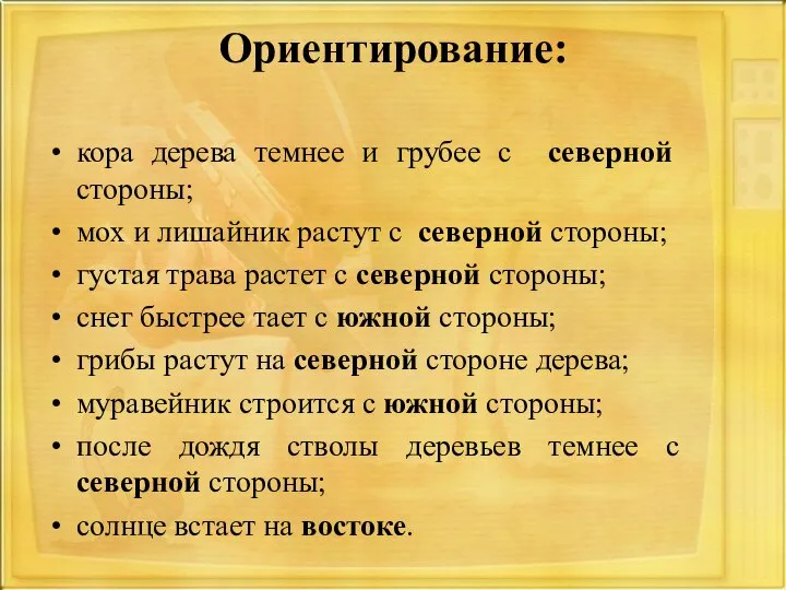 Ориентирование: кора дерева темнее и грубее с северной стороны; мох и