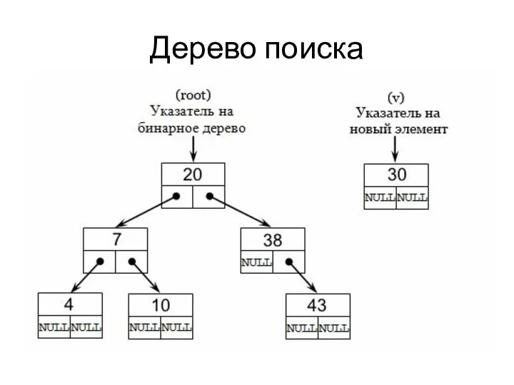 Дерево поиска