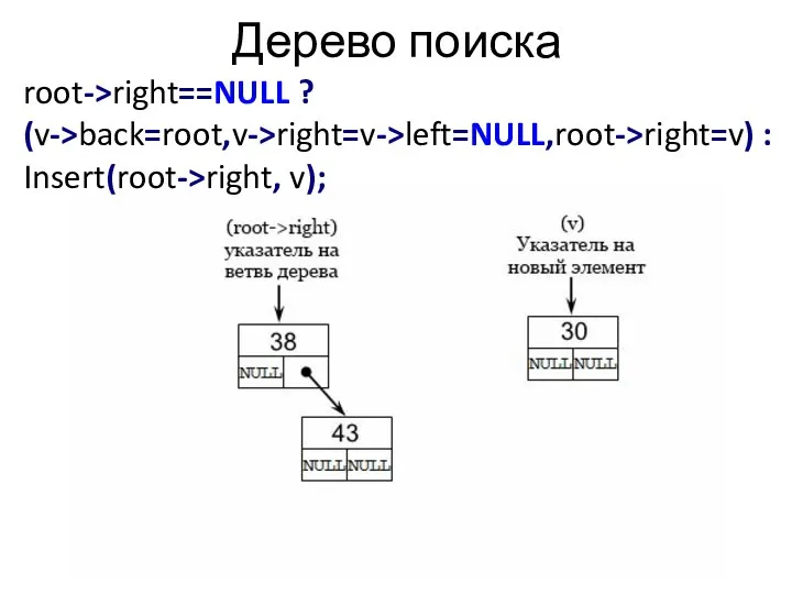 Дерево поиска root->right==NULL ? (v->back=root,v->right=v->left=NULL,root->right=v) : Insert(root->right, v);