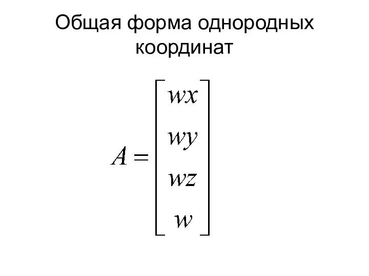 Общая форма однородных координат