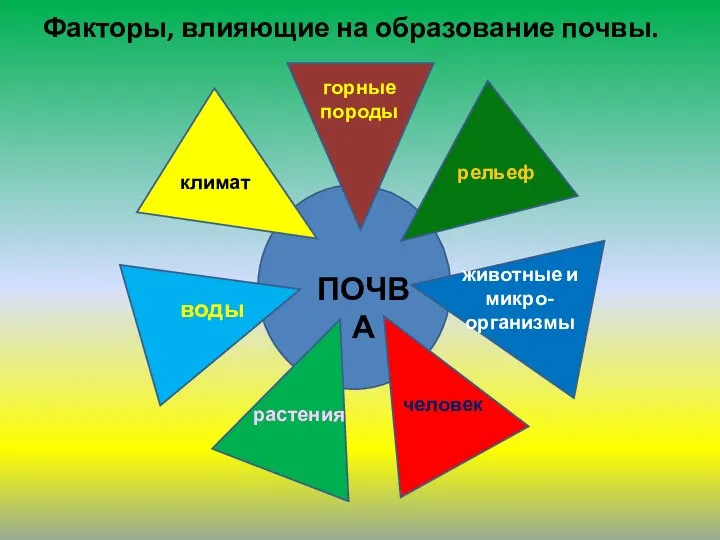 Факторы, влияющие на образование почвы.