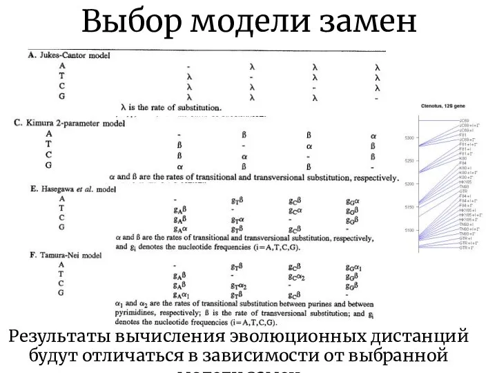 Выбор модели замен Результаты вычисления эволюционных дистанций будут отличаться в зависимости от выбранной модели замен