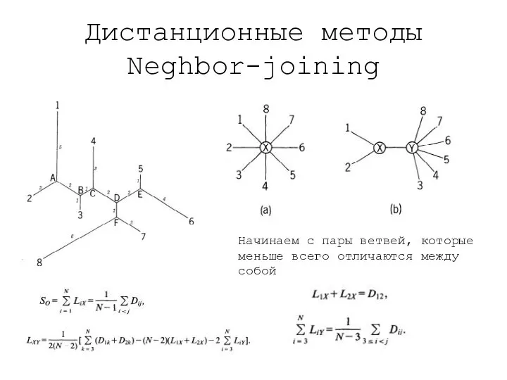 Дистанционные методы Neghbor-joining Начинаем с пары ветвей, которые меньше всего отличаются между собой