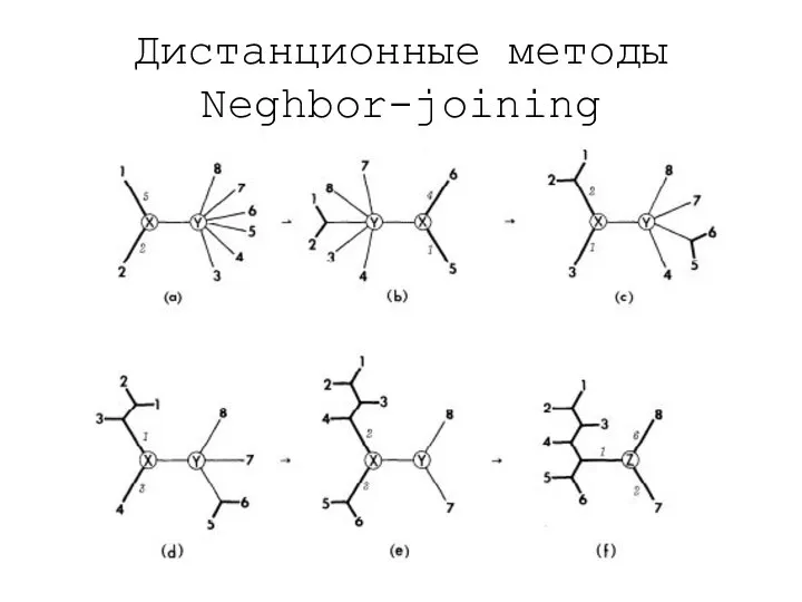 Дистанционные методы Neghbor-joining