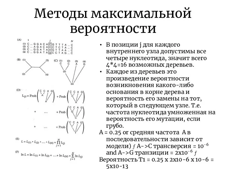 Методы максимальной вероятности В позиции j для каждого внутреннего узла допустимы