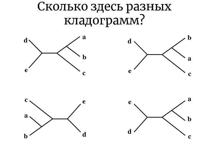 Сколько здесь разных кладограмм? a b c d e a e