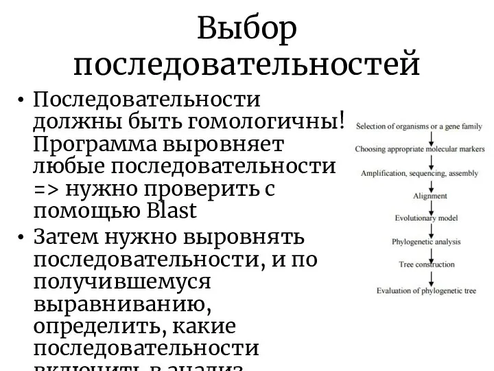 Выбор последовательностей Последовательности должны быть гомологичны! Программа выровняет любые последовательности =>